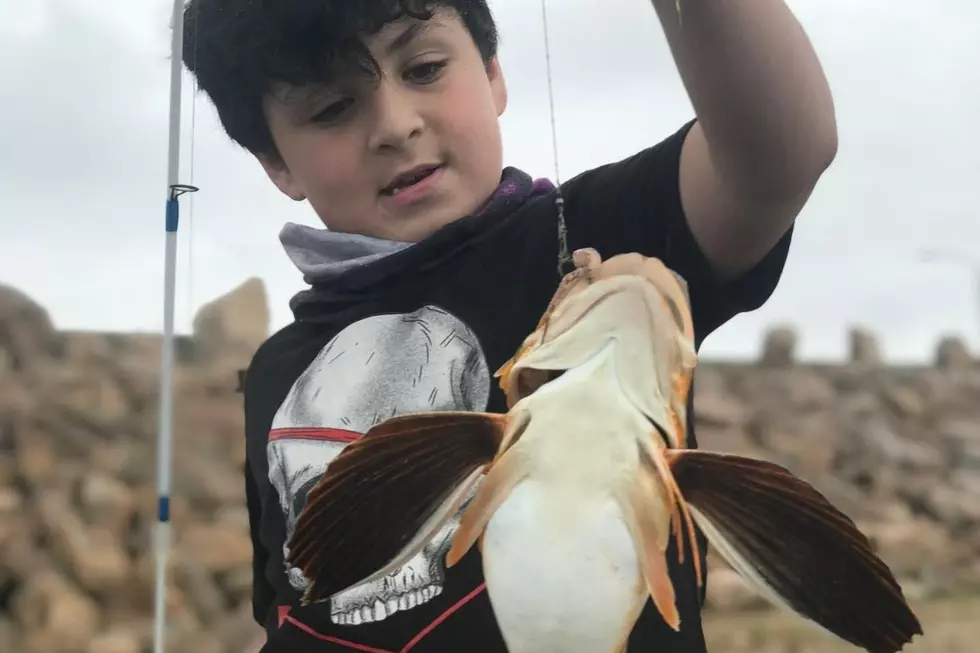 New Bedford Nine-Year-Old Starts His Own Fishing Business