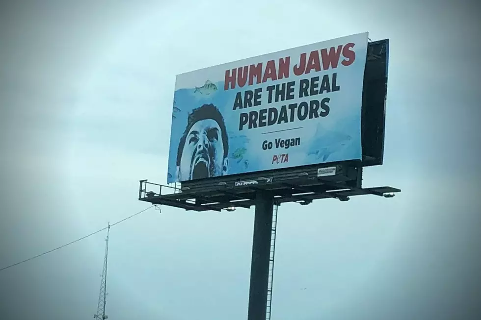 If You're Feeling Attacked by This Billboard, You're Not Alone