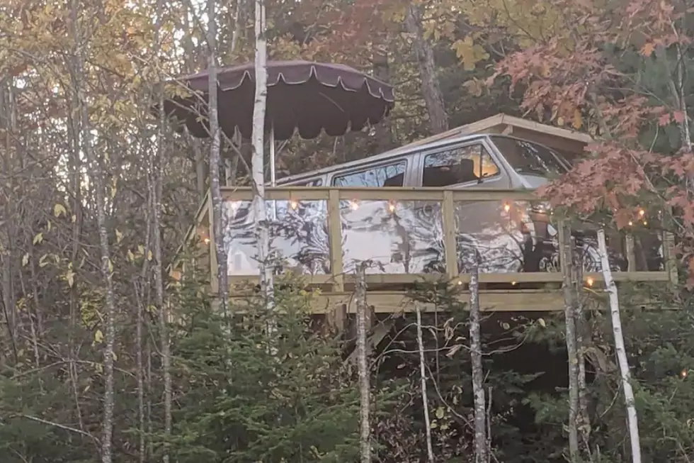Stay in a Van That's Literally in the Trees of New Hampshire