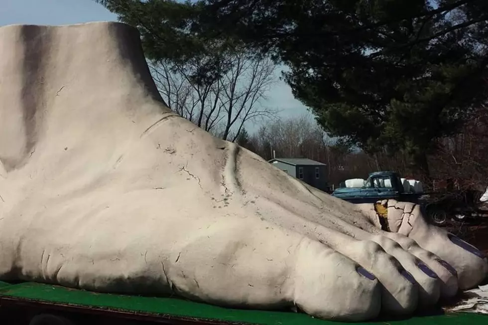 Big Foot Sighting in Massachusetts Is Literally a Big Foot