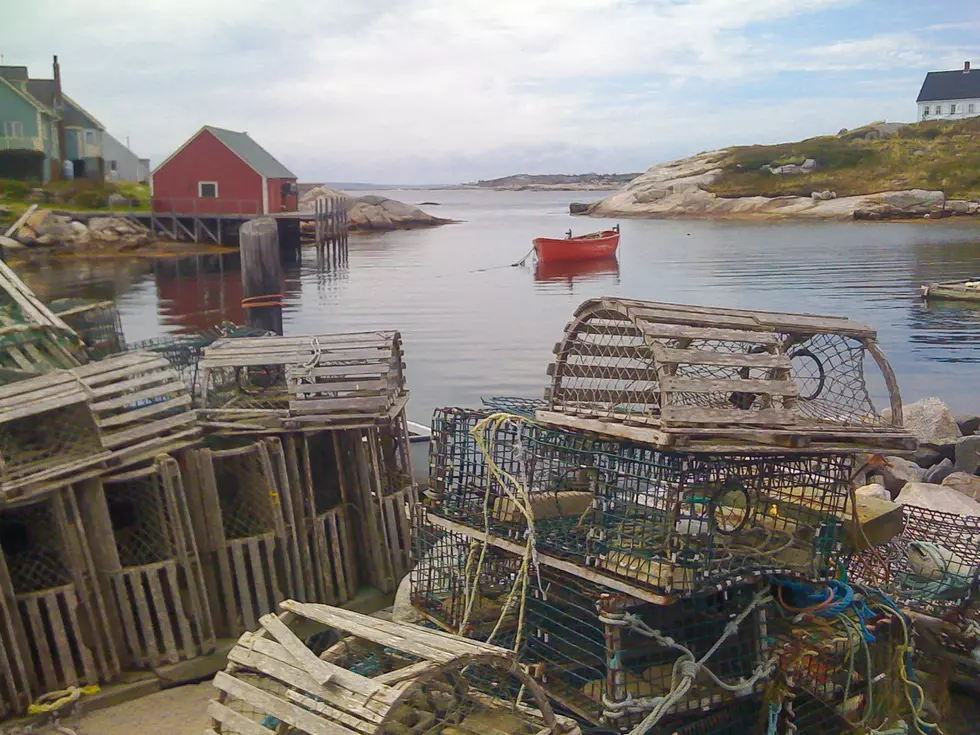 Did You Know This About the Lobster Trap?