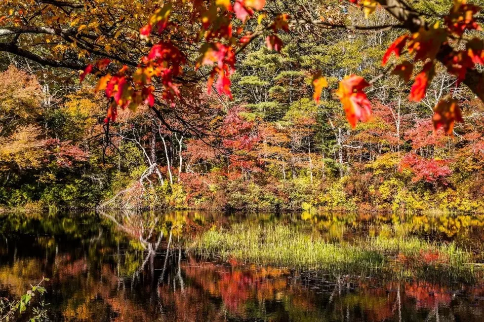 The Best Spots on the SouthCoast to Take a Fall Photo