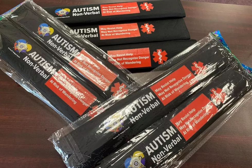 Free Autism Awareness Seat Belt Covers for Bristol County