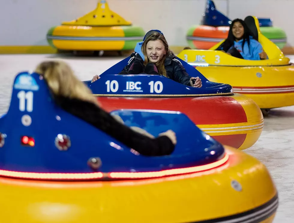 Providence’s Bumper Cars on Ice Are Back