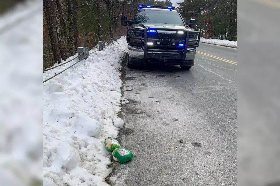 Wareham Officer Finds a Chicken Crossing the Road