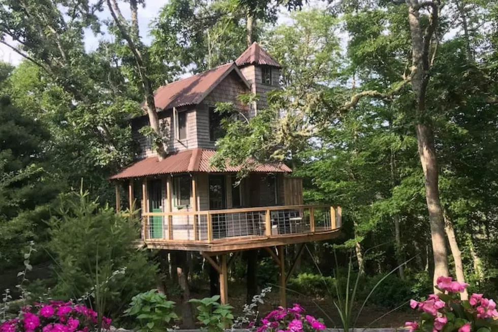 Wareham's In-TREE-guing Airbnb Treehouse Is Magical