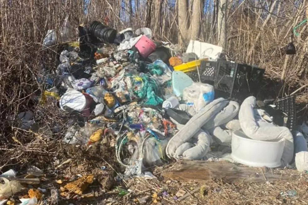 Disgusting Pile of Trash Found in Fairhaven