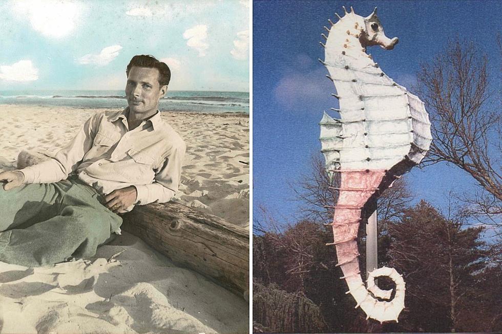 The True Story of Mattapoisett's Salty the Seahorse