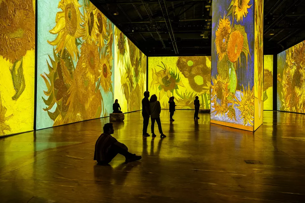Boston Museum Welcoming Immersive Van Gogh Exhibit