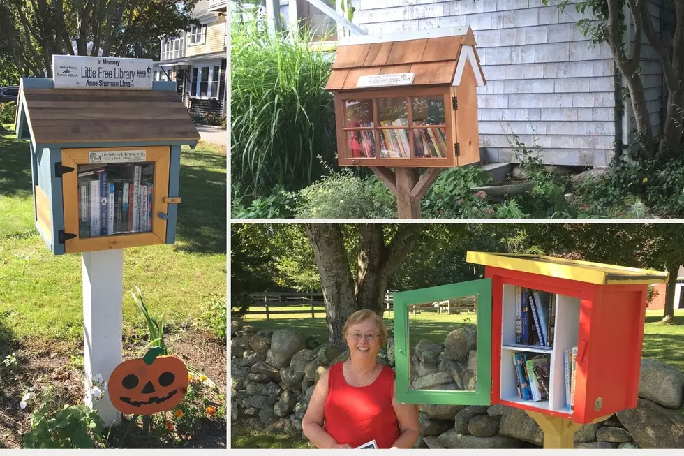 SouthCoast's Little Free Libraries Have Plenty of Stories to Tell