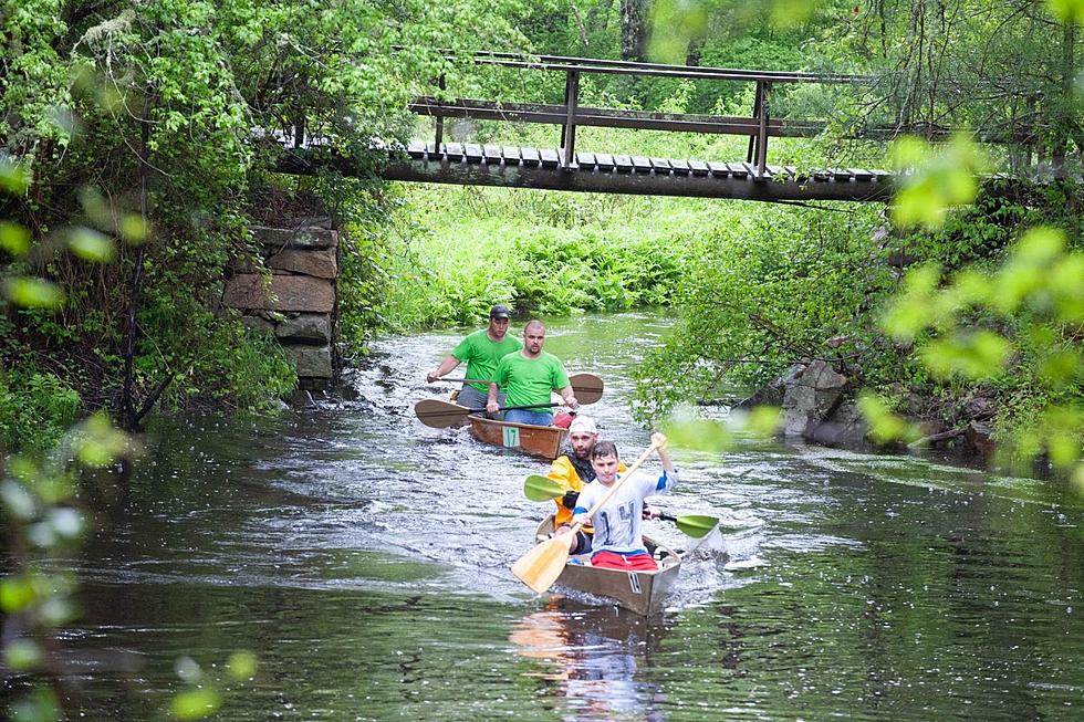 Rochester Memorial Day Boat Race Is Back
