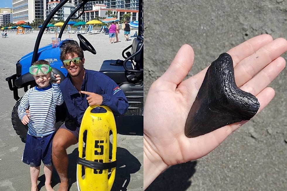 Plymouth Boy’s Found Megalodon Tooth Is the Treasure of a Lifetime
