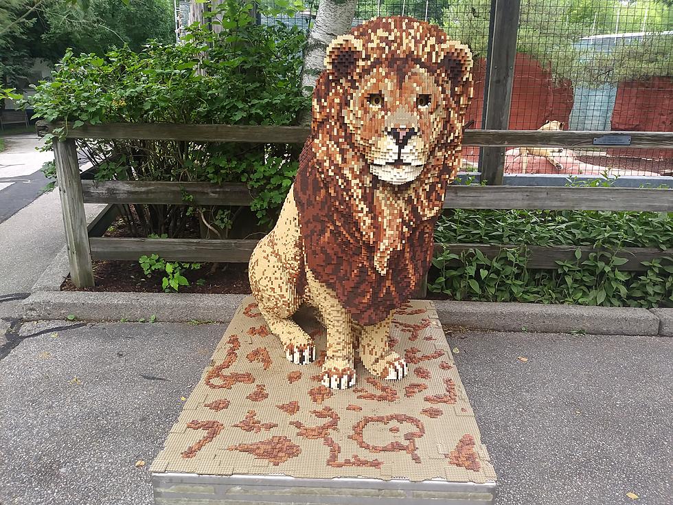 Brick Animals on Display at Capron Park Zoo
