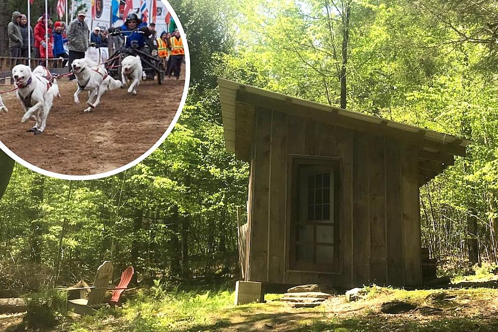 This Cummington Alaskan Sled Dog Airbnb Will Really Have You Ruffing It