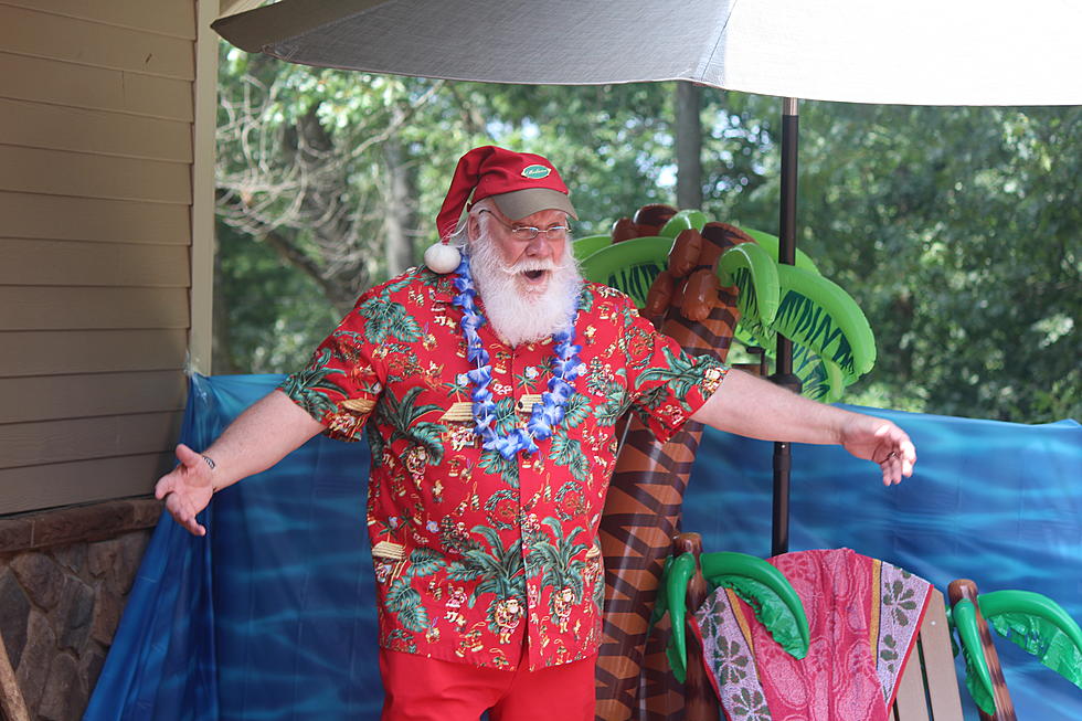 The Joy of the Holidays Without the Snow at MA Zoo's Xmas in July