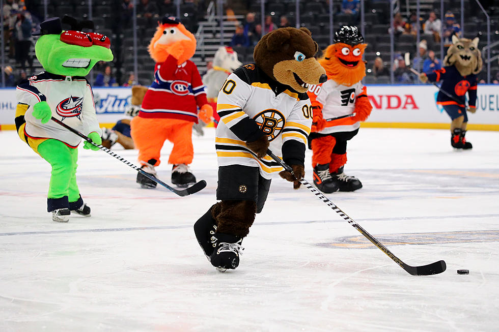 New Bedford Is Getting a Visit From Boston Bruins Mascot ‘Blades’