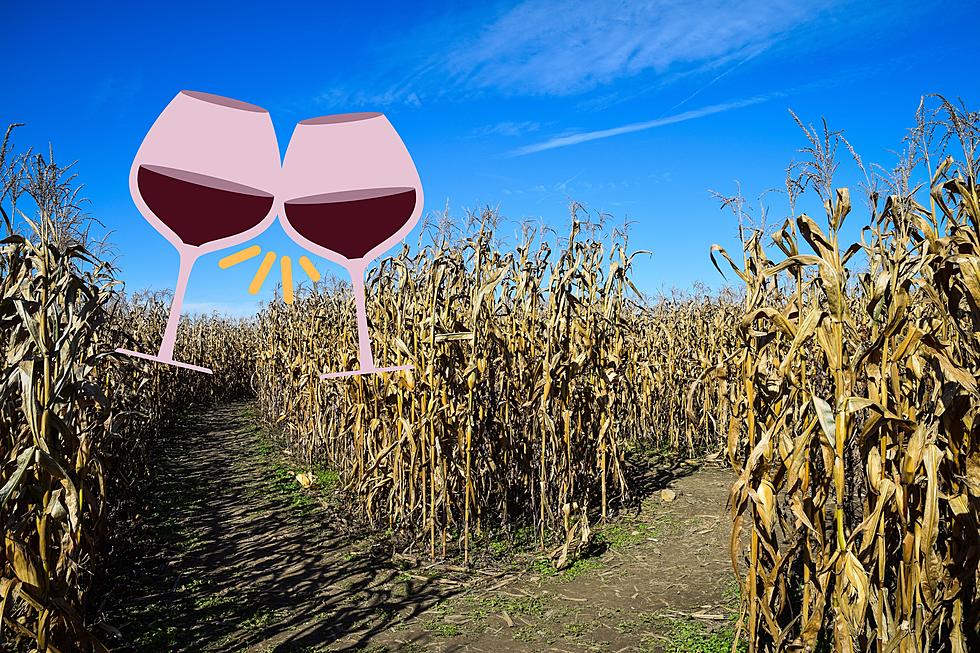 Wine Your Way Through This Adults-Only Corn Maze in Massachusetts