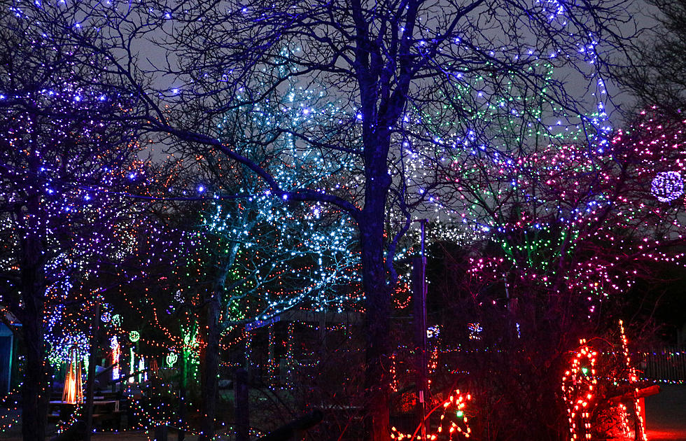 Walk Through Thousands of Lights in Providence’s Roger Williams Park Zoo This Winter
