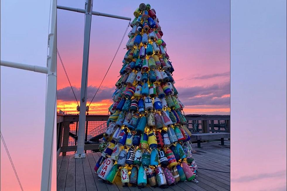 Dartmouth Introduces Custom ‘Buoy Tree’ This Christmas Season