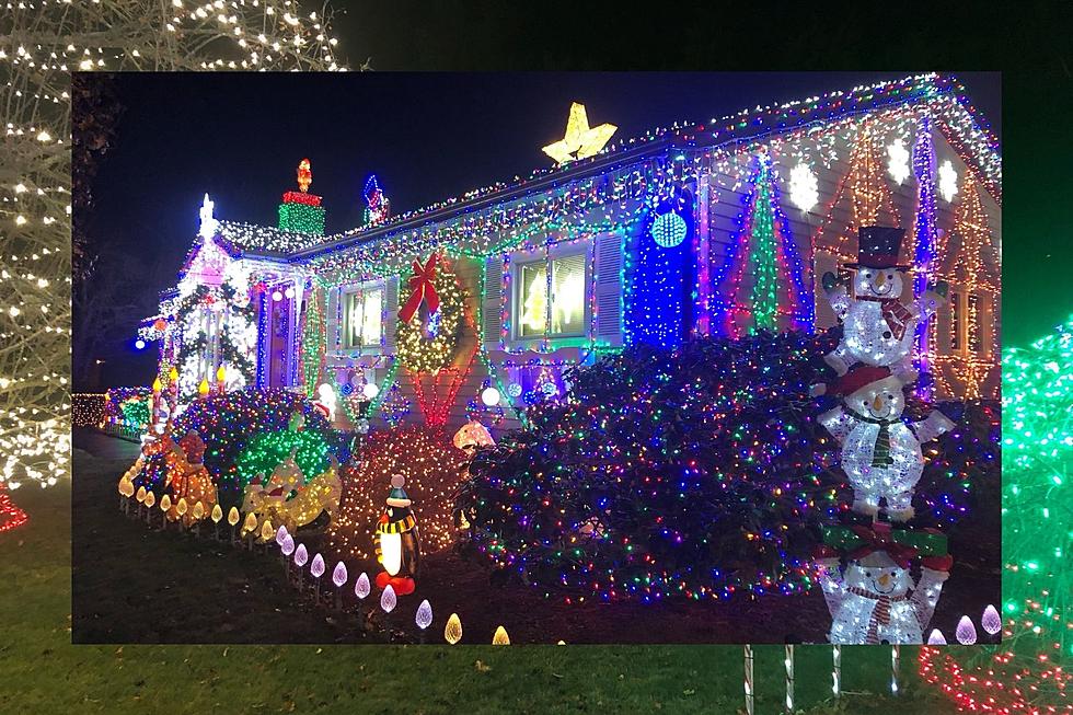 Fairhaven Man Strings Up Over 200,000 Lights for the Holidays