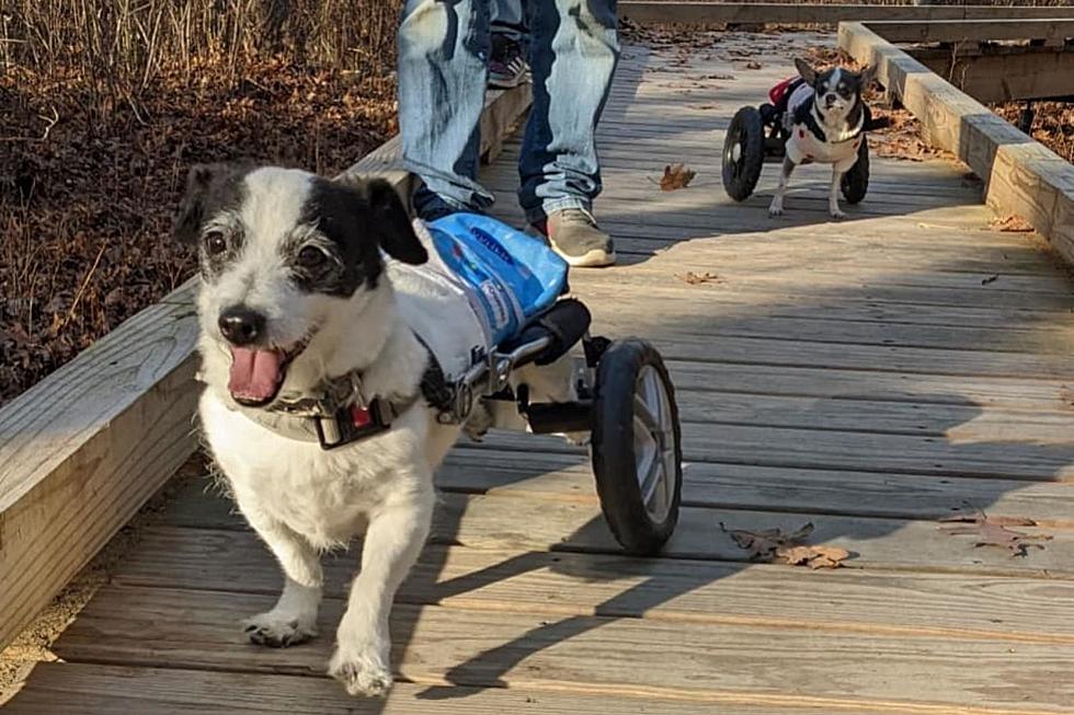 Putting Accessible Trails to Good Use in Marion