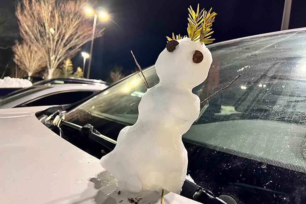 Dartmouth Mystery Snowman Appears on Gazelle’s Car Without Explanation
