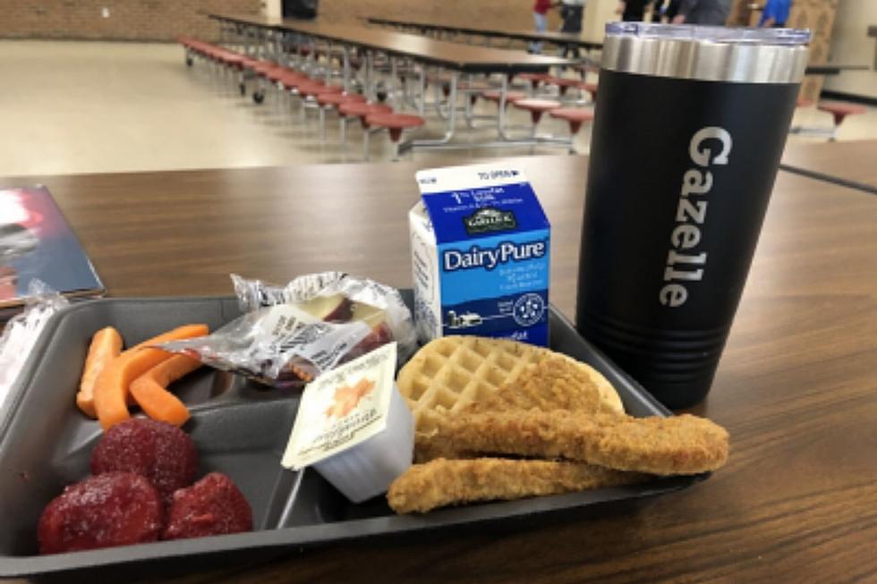 Top 10 School Lunches Ranked Best to Worst [PHOTOS]