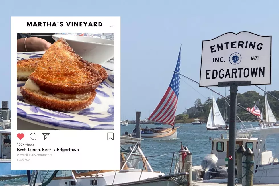 You’ll Drool Over the Most Affordable, Yet Delicious Waterfront Lunch on Martha’s Vineyard