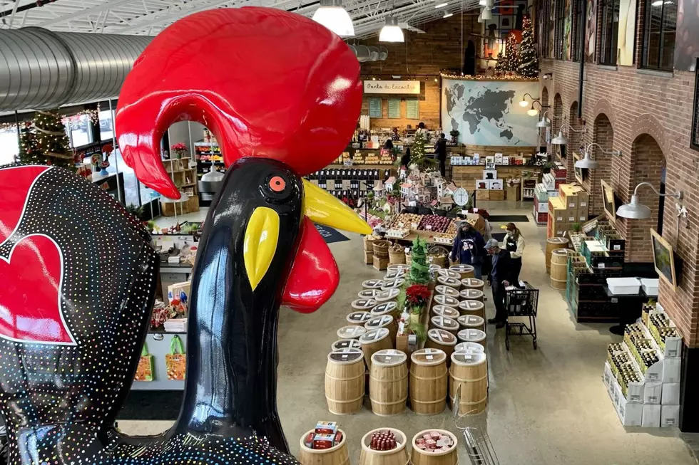 Fall River's 11-Foot Portuguese Rooster