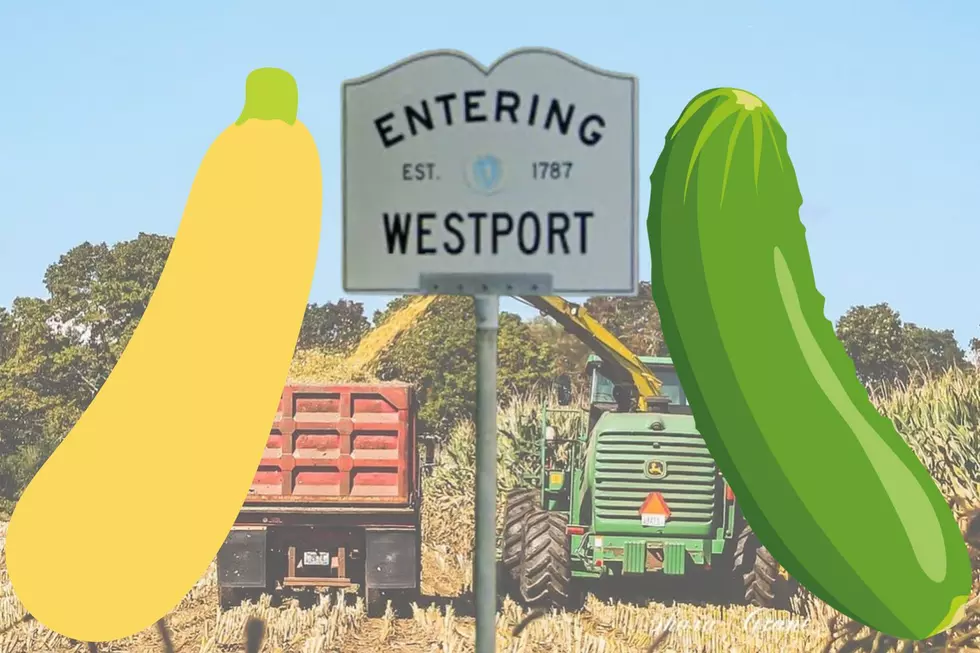 Westport’s Nickname for Summer Residents Has Curious Origins