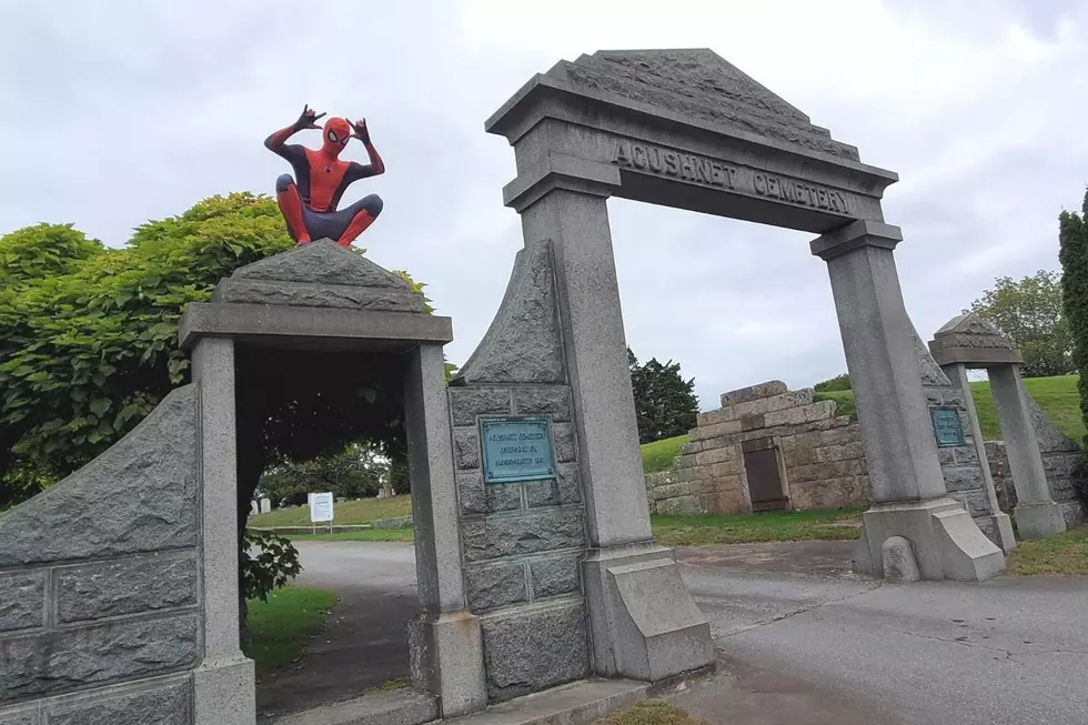 SouthCoast Spider-Man Spotted in Acushnet and New Bedford