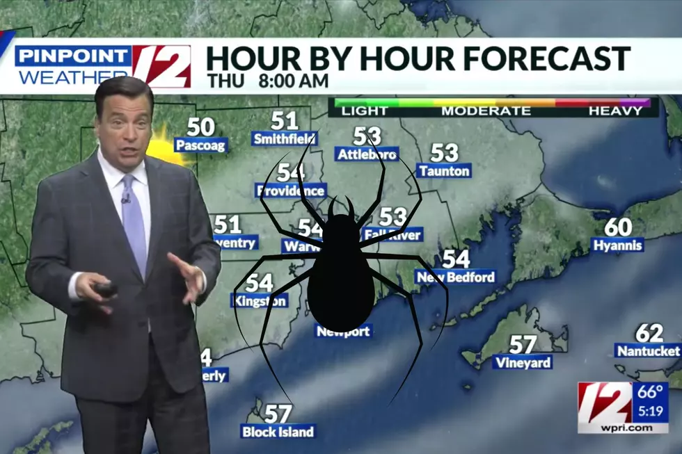 Providence Meteorologist Spooked on Live Television Thanks to Unwelcome Guest