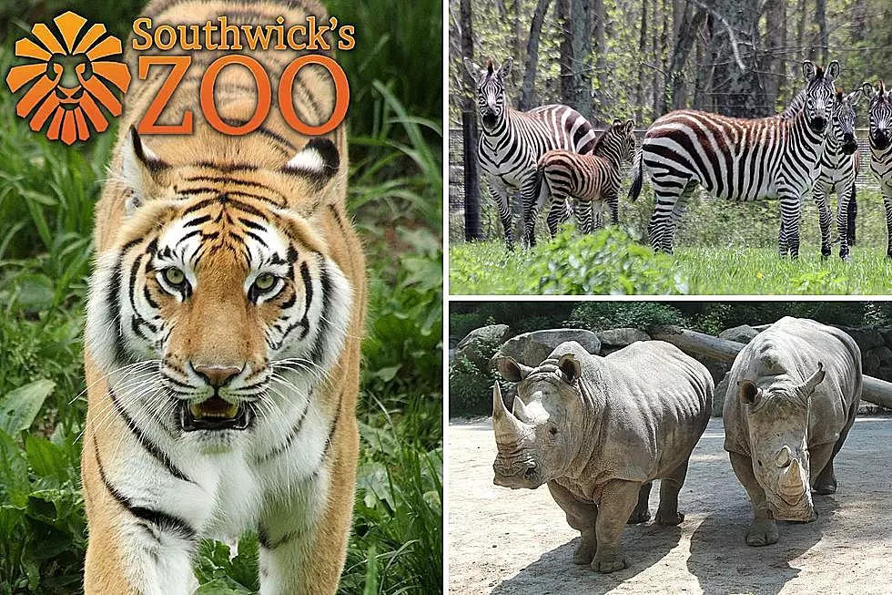 Free Fun Friday: Family Four-Pack to Southwick’s Zoo and Gift Card to Galliford’s Restaurant & Tavern