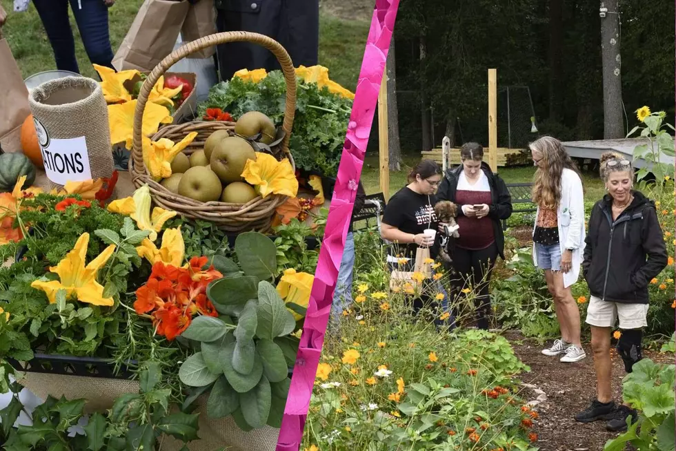 The Second Annual Seeds of Hope Harvest Festival Returns to Dartmouth