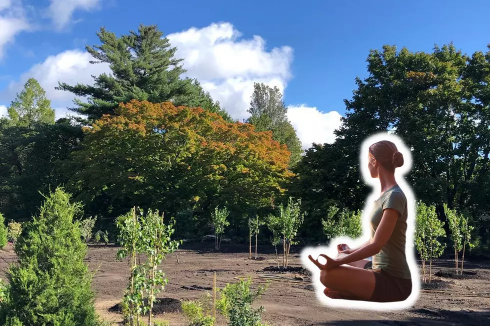 Find Your Zen in New Bedford