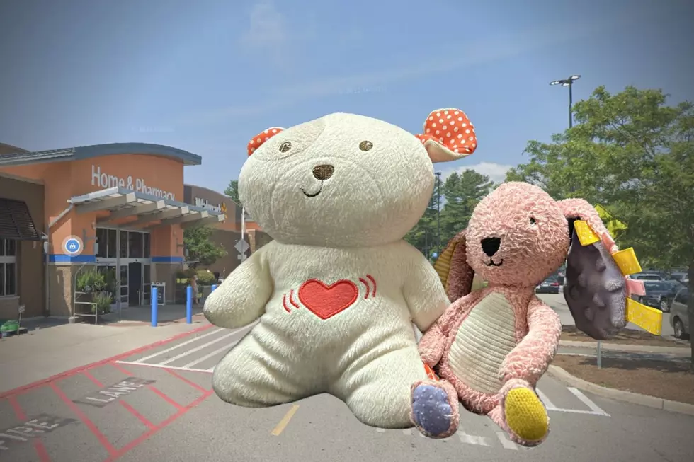 Stuffed Animals Looking for Home