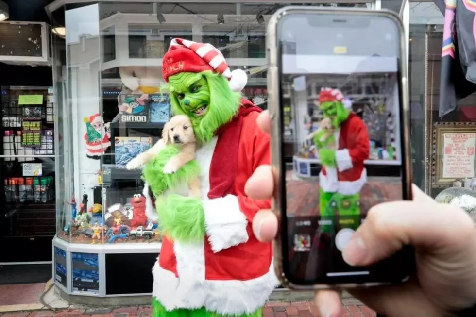 Meet The Grinch and Support Animals by Visiting Cojo’s Toy World in New Bedford This Weekend