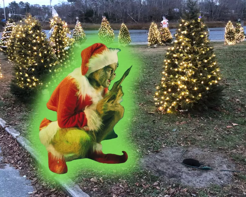 'Grinch' Targets Wareham Remembrance Trees