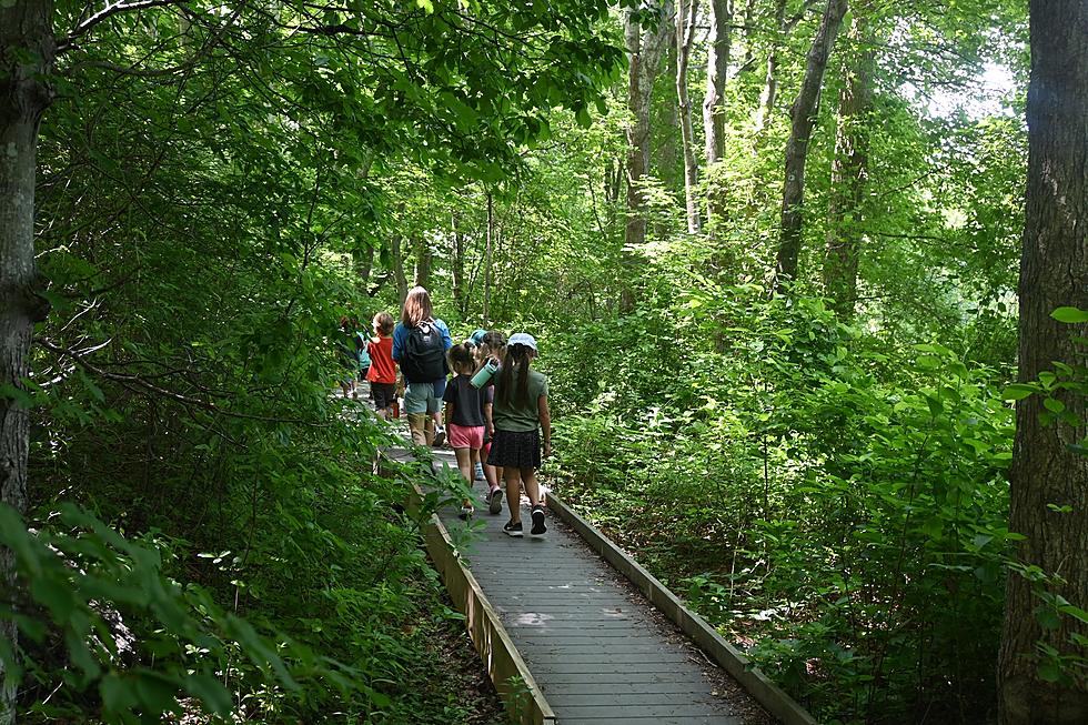 Hike This Rhode Island Bird Sanctuary For Free This Spring