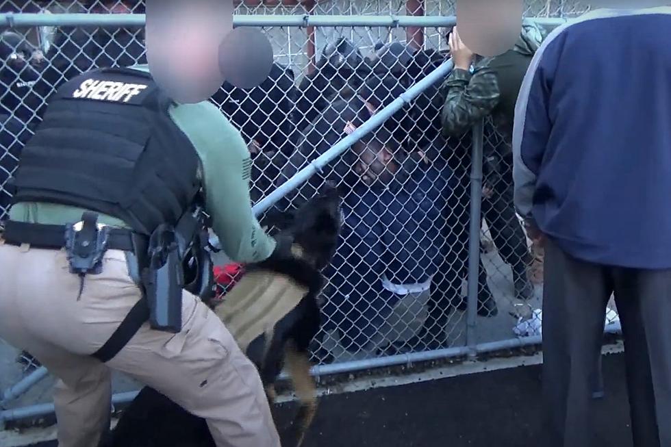Dartmouth ICE Detention Center "Riot" Video Released