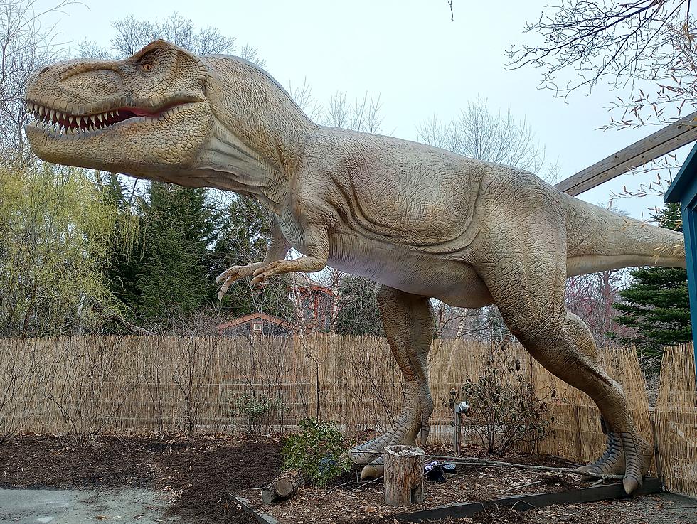 First Look At Providence Zoo’s Remarkable New Dinosaur Exhibit