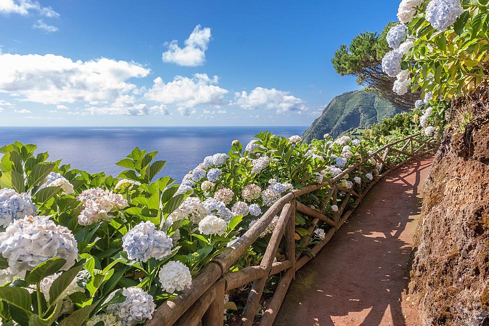 Enter to Win a Dream Vacation to the Azores