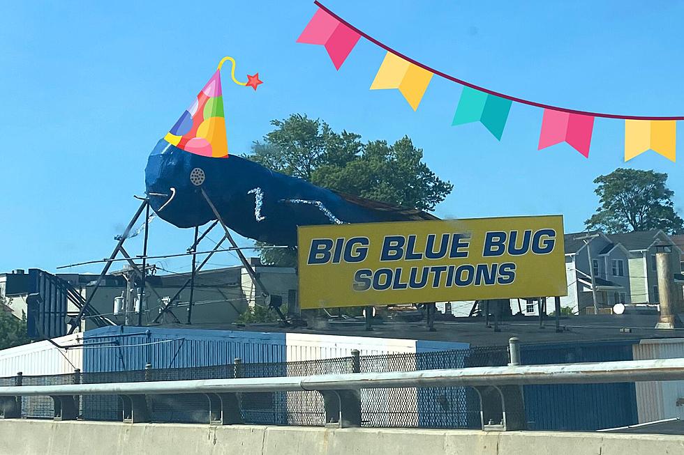 Big Blue Bug in Providence Celebrates 43rd Birthday