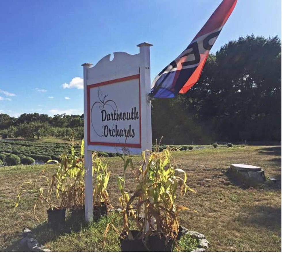 Dartmouth Orchards Owner’s Brave Battle With Throat Cancer Inspires Community