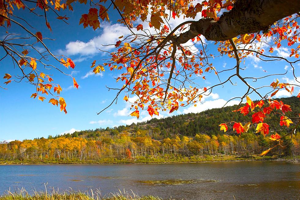 Colorful Foliage Predicted for 2023 Fall Season in New England