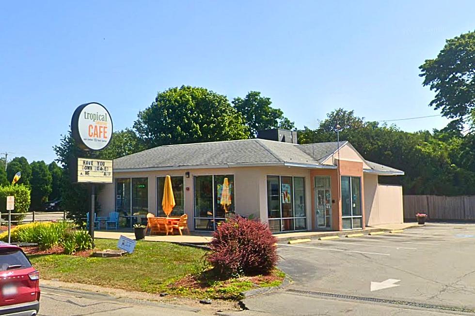Gazelle Says Goodbye to the Alden Road Tropical Smoothie Cafe [VIDEO]