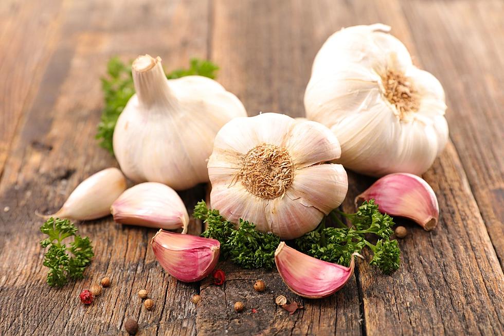 There’s a Garlic Harvest Festival Coming to Tiverton That’s Sure to Scare Away Vampires