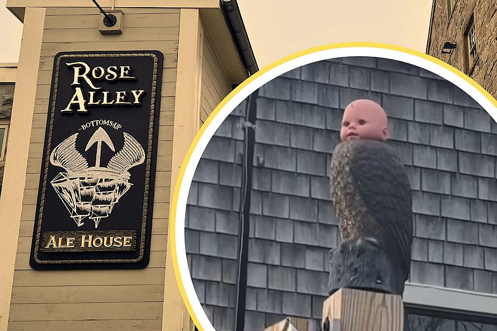 New Bedford’s Creepy Baby Doll Owl Turns Heads and Raises Questions Downtown