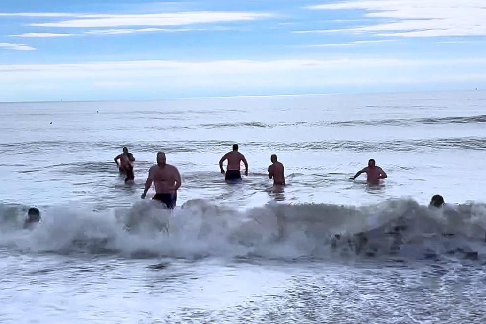 Horseneck Beach Polar Plunge Took a Nosedive in Temperature as Participants Brave Westport’s Frigid Waters [VIDEO]