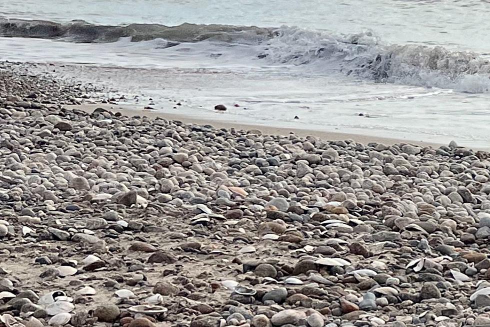 Horseneck Beach in Westport Is Riddled With Rocks, Concerning the Fate of Summer 2024